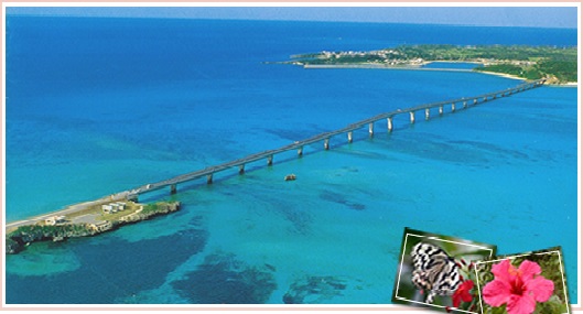 %e7%84%a1%e9%a1%8c44